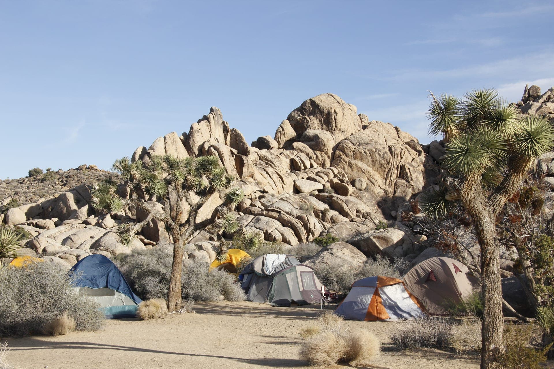 Tents pitched among boulders and Joshua trees at Sheep Pass Campground in Joshua Tree National Park